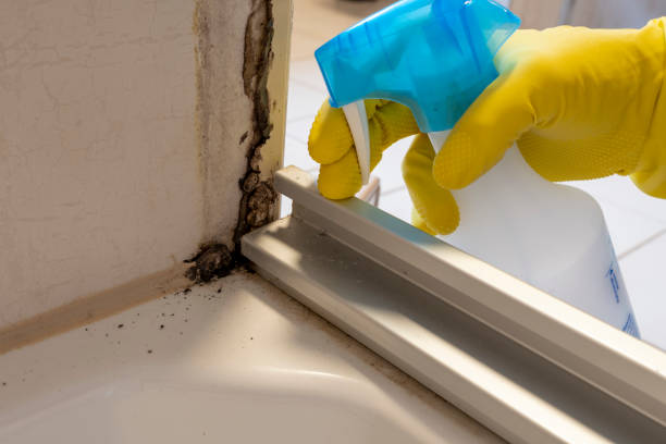 Best Fast Mold Removal  in Rowland, NC
