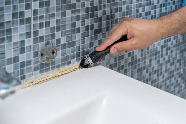  Rowland, NC Mold Removal Pros