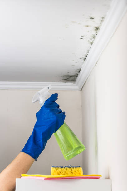 Best Mold Testing  in Rowland, NC